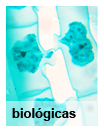 Ciências Biológicas